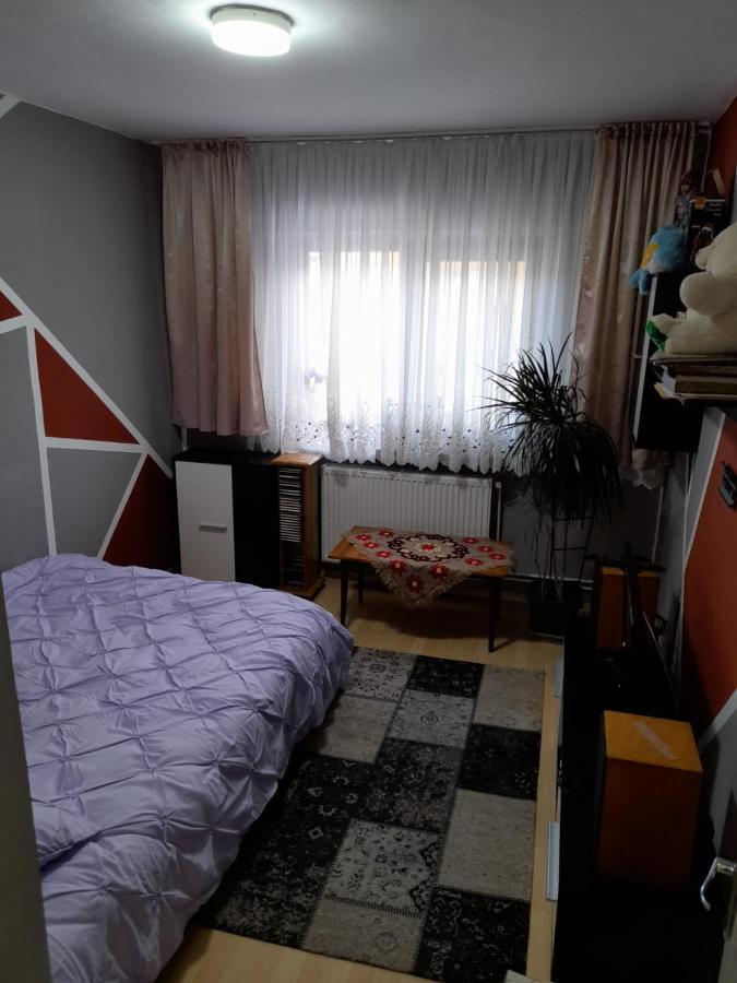 Apartament Straja - Lupeni  Extérieur photo